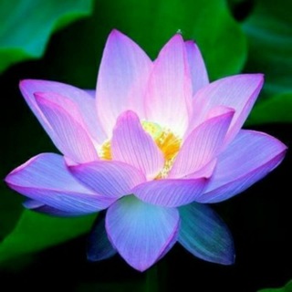 Резонанс Шумана