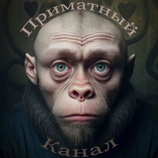 Приматный канал)