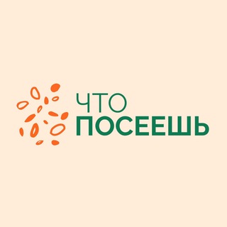 ЧТОПОСЕЕШЬ.ORG