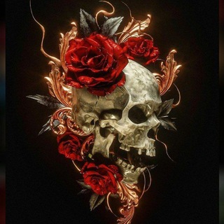 СЕКА♠️♣️♥️♦️