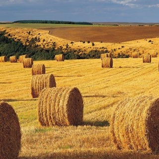 СЕЛЬХОЗПОРТАЛ