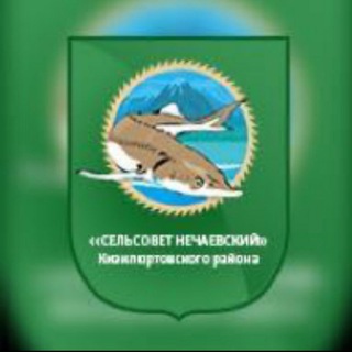Сельсовет Нечаевский