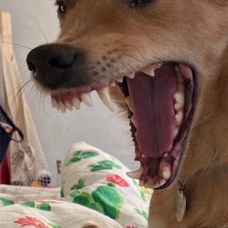 я сейчас вам покажу