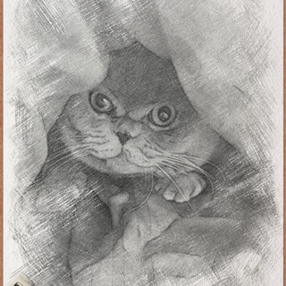 Серый kotъ мем