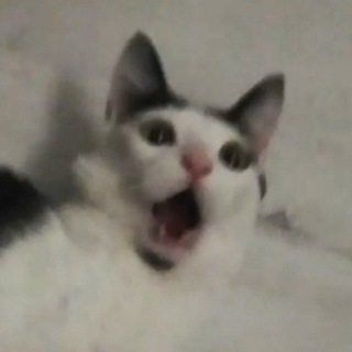 Дед фотоСетор и ее угол