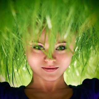 Северная экологиня