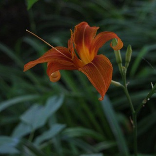 Духовные поиски