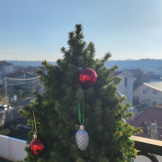 Юрполитика