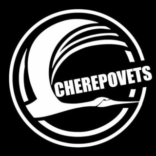 Чат Мастеров 🤘 | Обучение и Консультации