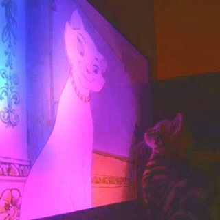 Теневой кинозал Во все Гослинги, а еще кошка