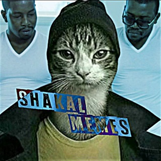 Shakal Memes