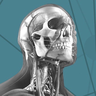 Шамиль Терапевт