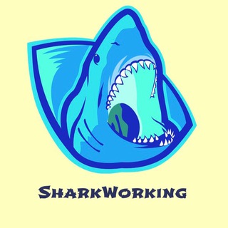 SharkWork