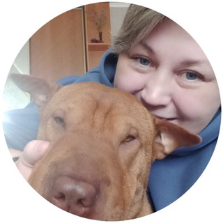 СОБАЧЬЯ ЖИЗНЬ