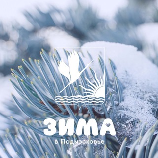 Администрация Городского округа Шатура