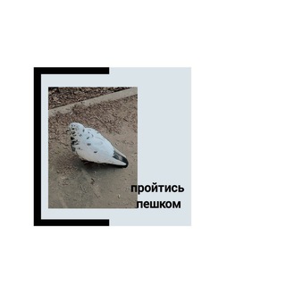 пройтись пешком