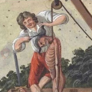 shefer_andrew reserve