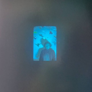 жизнь сквозь видоискатель