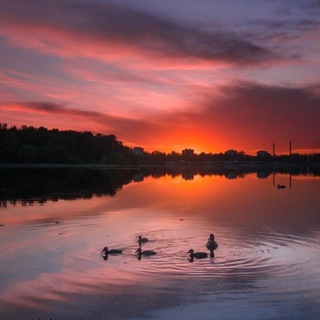 Пристанище