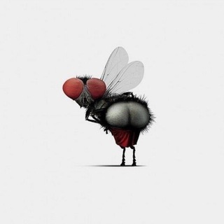 Вопреки здравому смыслу