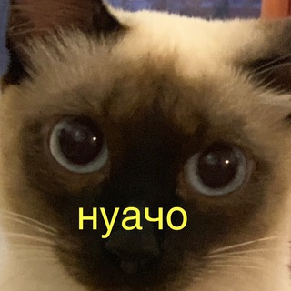 Творческий интроверт