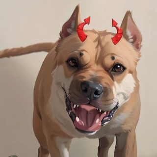 ☠️ vesta stafford 🥷🏼