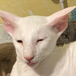 Ветер в твоей голове