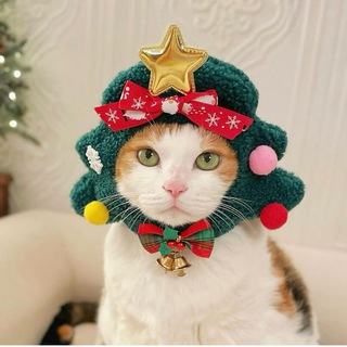 Виссарион вещает