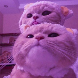 пикчи для любимых