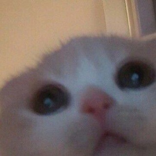 Книги и приколы