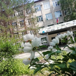 Школа1Шимановска