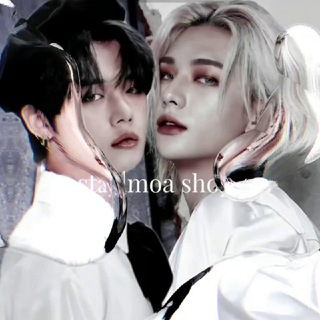 · ₊˚⊹.° 𝐬𝐭𝐚𝐲/𝐦𝐨𝐚 𝐬𝐡𝐨𝐩 °· ₊˚.⊹ 