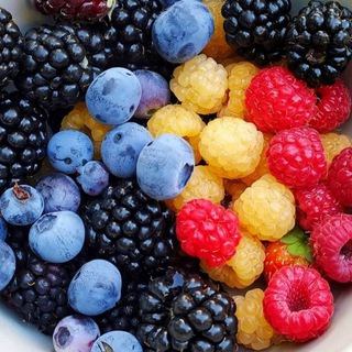 ЭКО-Потребители Бат-Ям