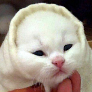 пошуршим🇺🇦