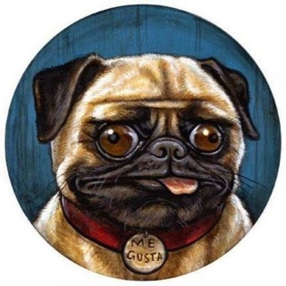 Шутконосия