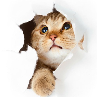 Шуточная №7