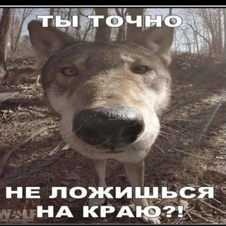 Анекдоты которые мне нравятся