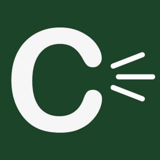 Силовики разбойники