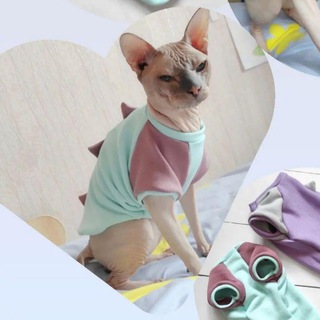 Одежда для лысиков🐱