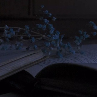 Цитаты из книг 📖 📚