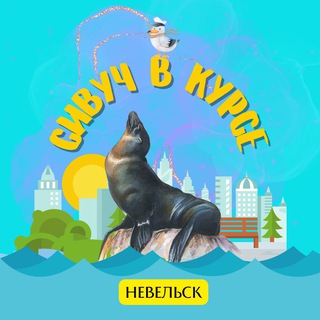 Сивуч В Курсе🦭