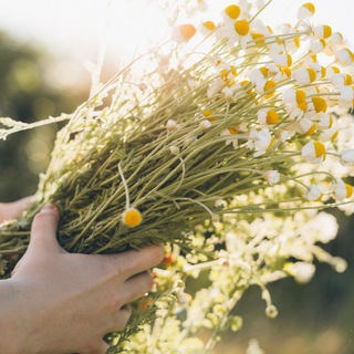 Сказки из заметок