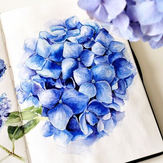 Sketches&Illustrations