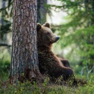 Русские Za бугром 🇷🇺