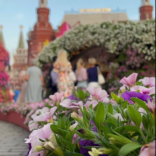 Материалы @linguatimes