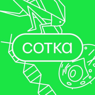 Биология | СОТКА | Сентябрь