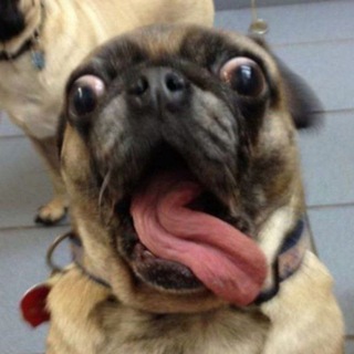 Курьёз - в серьёз🔥🤣