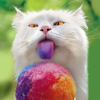 Смешные анекдоты