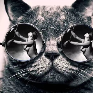 Прикольный Юмор👍