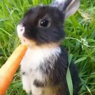 Мастерская настроения😂